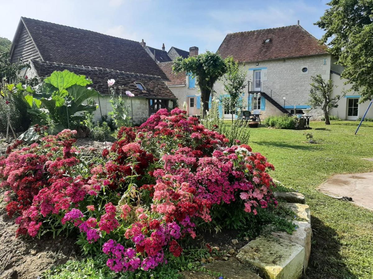 Le Moulin Bleu Bed and Breakfast Seigy Buitenkant foto